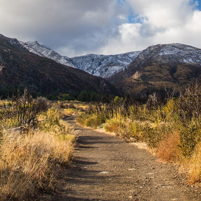 Matilija Canyon Ojai